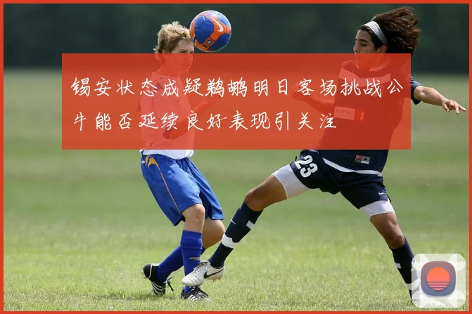 锡安状态成疑鹈鹕明日客场挑战公牛能否延续良好表现引关注