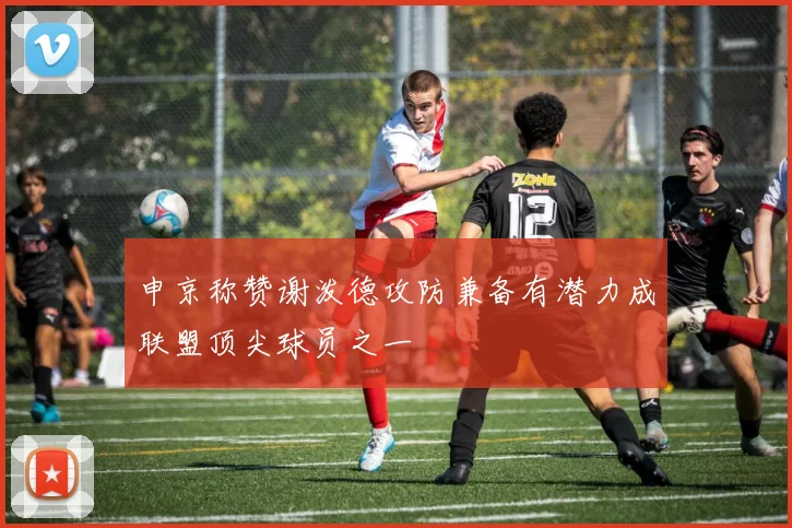 申京称赞谢泼德攻防兼备有潜力成联盟顶尖球员之一